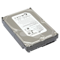 Seagate 500GB (ST3500413AS)